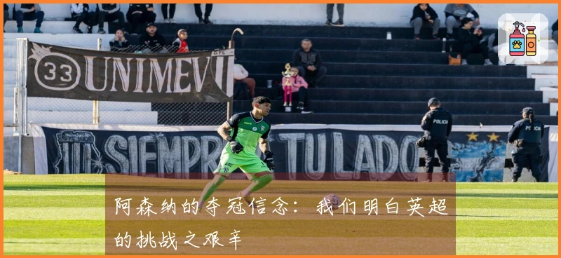 阿森纳的夺冠信念：我们明白英超的挑战之艰辛
